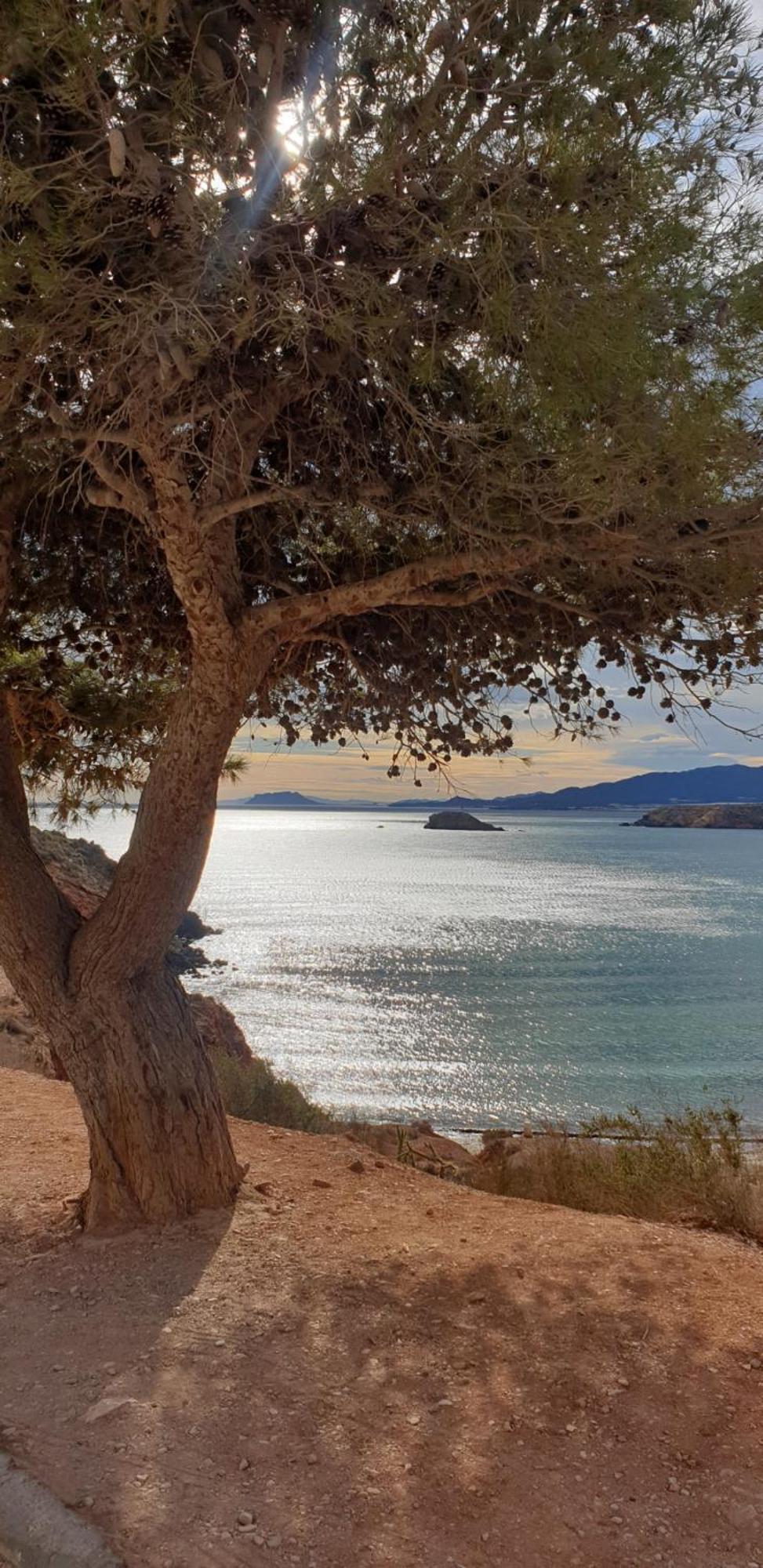 El Puerto de Mazarrón Acogedor Apartamento De Playa מראה חיצוני תמונה